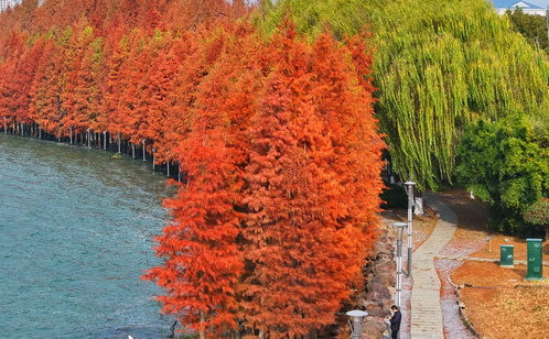 http://www.wuxianji8.cn/szgyyq/jsdt/202502/4d9d20e72c7d425cada95f797a1e160f/images/98a21992ddb44b309b353f6216cb0598.png